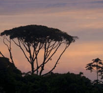 Guide Jaco beach destination - lodging and things to do