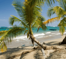 Things To Do in San Gerardo de dota