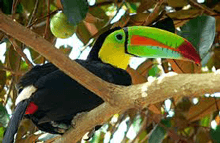 Costa Rica tour